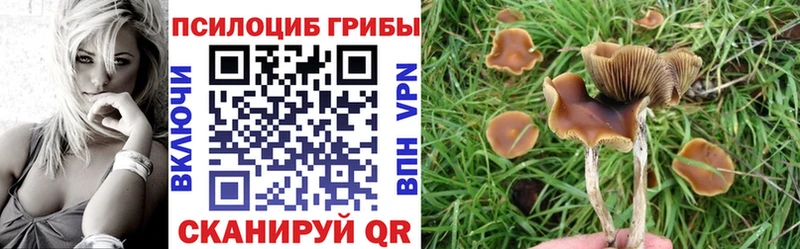 Псилоцибиновые грибы Magic Shrooms  OMG ONION  Темников  как найти закладки 